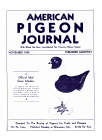 Magazine Cover
